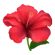 Hibiskus Icon